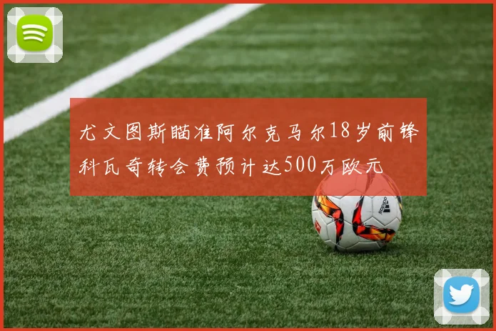尤文图斯瞄准阿尔克马尔18岁前锋科瓦奇转会费预计达500万欧元